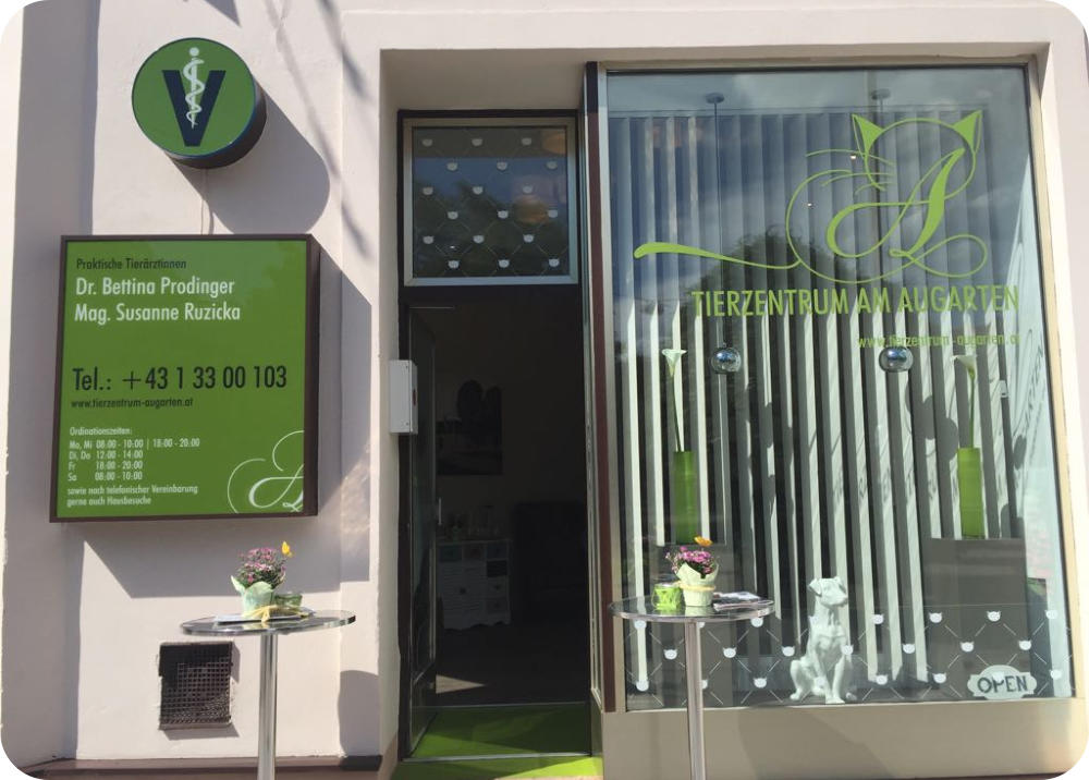 Eingang und Schaufenster der Praxis mit Logo-Beschriftung und Praxisschild